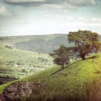 Swimming Pools at Night