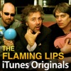 The Flaming Lips