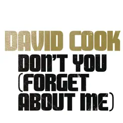 Don't You (Forget About Me) - Single - David Cook