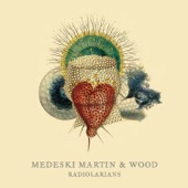 Medeski, Martin & Wood - Riffin' Ed