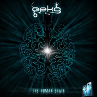 The Human Brain - Geko