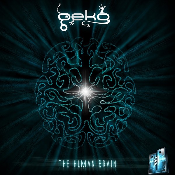 Cover of The Human Brain
