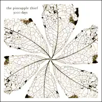 I Will Light Up Your Eyes — The Pineapple Thief