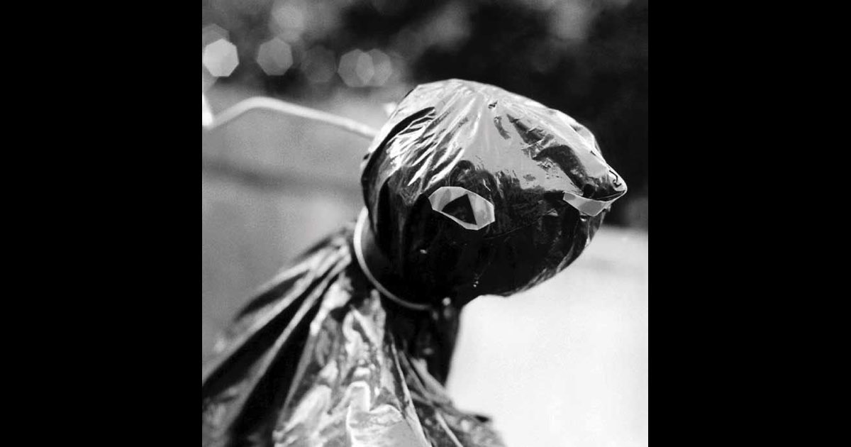 The ピーズ - The ピーズのアルバム - Apple Music