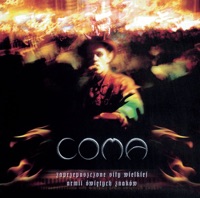 Daleka Droga Do Domu