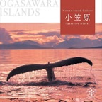 小笠原諸島