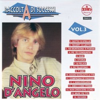 Raccolta di successi, vol. 3 (The Best of Nino D'Angelo Collection) - Nino D'Angelo