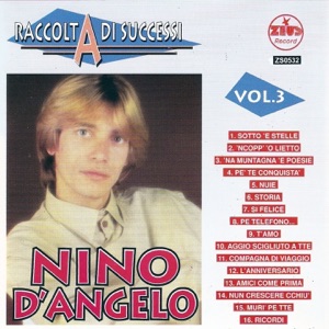 Raccolta di successi, vol. 3 (The Best of Nino D'Angelo Collection)