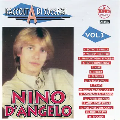 Raccolta di successi, vol. 3 (The Best of Nino D'Angelo Collection) - Nino D'Angelo