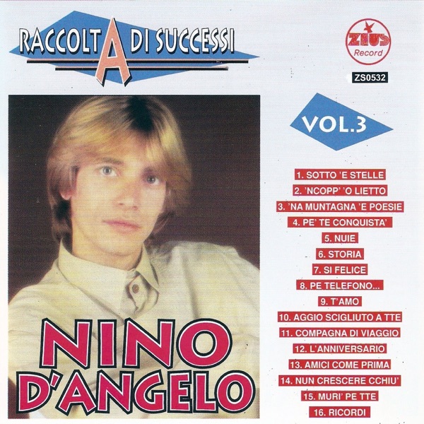 Raccolta di successi, vol. 3 (The Best of Nino D'Angelo Collection)