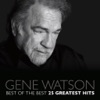 Best of the Best - 25 Greatest Hits, 2012