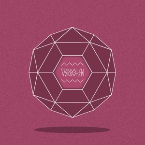 001 / Wired Voices (Damolh33 Remixes) - Single