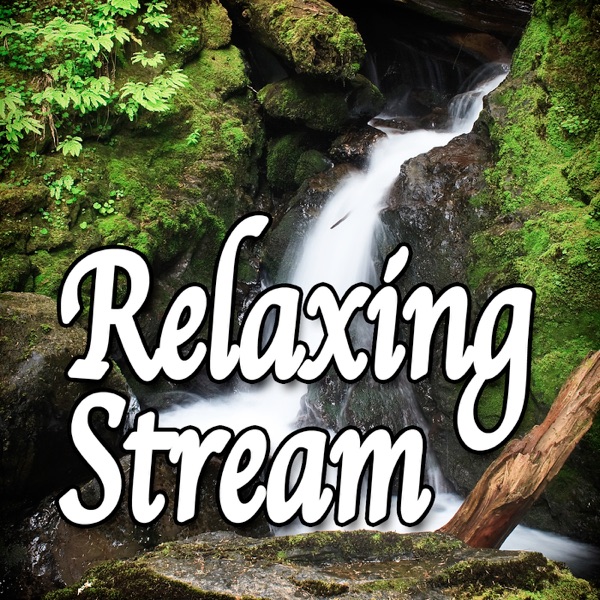 Relaxing Stream (Nature Sounds)