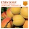 August Aromas (feat. Hayley Parsons) - Existone lyrics