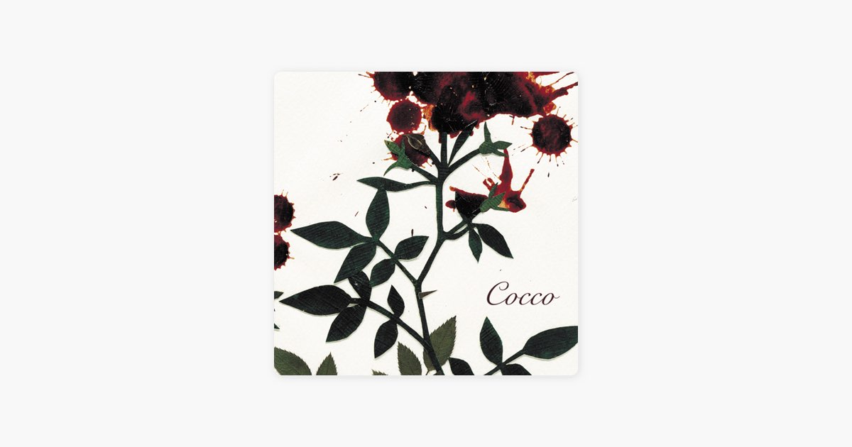 サングローズ - Coccoのアルバム - Apple Music