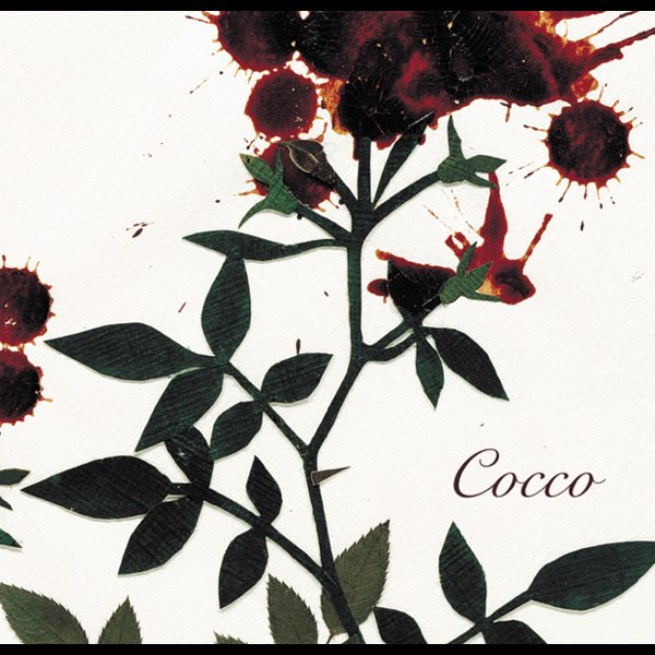 サングローズ - Coccoのアルバム - Apple Music