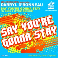Say You're Gonna Stay (DJ Meme & Jovonn Remixes) - EP - Darryl D'Bonneau