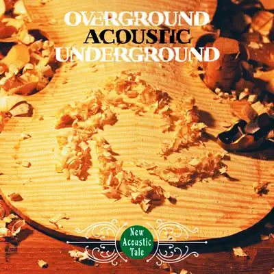 Escucha New Acoustic Tale de OAU