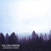 Falcon Arrow - Amateur Law Enforcement