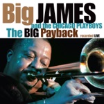 Big James & The Chicago Playboys - Trying to Live My Life Without You