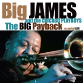 Big James and the Chicago Playboys - The Blues Will Never Die