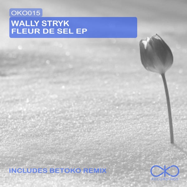 Fleur De Sel (Betoko Remix)