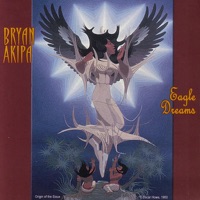 Bryan Akipa - Eagle Star Sunset