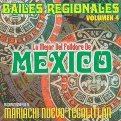 Bailes Regionales - Los Mejor del Folklore de México, Vol. 4