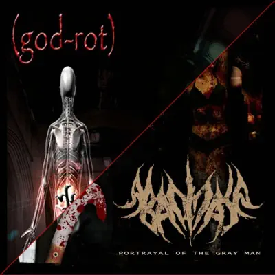 Potrayal of the Gray Man / The Decayed State - Abacinate