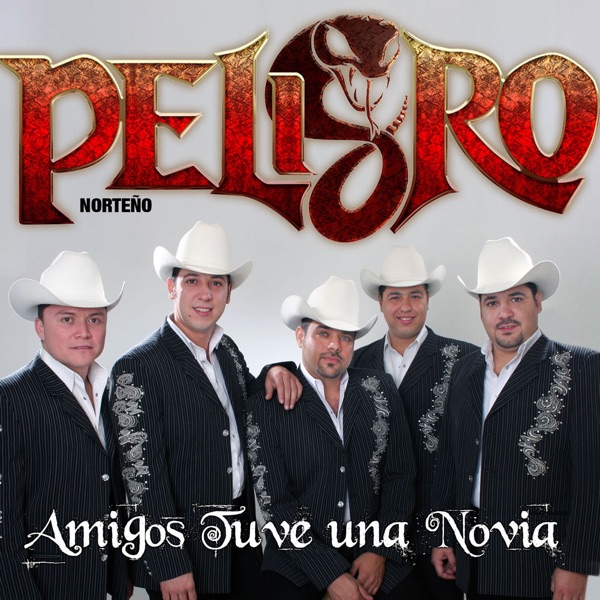 Amigos tuve una novia album cover