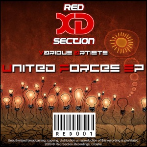 African Conection (Original Mix)