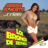 Los Broncos de Reynosa - El Venadito en Polka