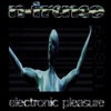 Electronic Pleasure