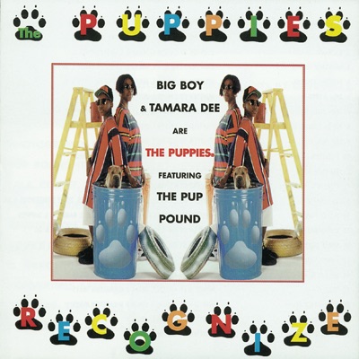 Hokey Pokey artwork