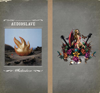 Audioslave - Shadow On the Sun artwork