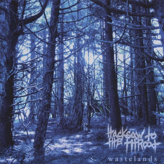 Cover artwork for Divide By Zero