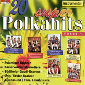 20 Super Polkahits Instrumental, Folge 4