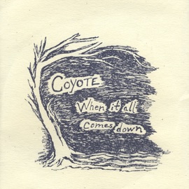 Champagne Eyes Coyote