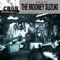 In A Young Man's Mind - The Mooney Suzuki lyrics