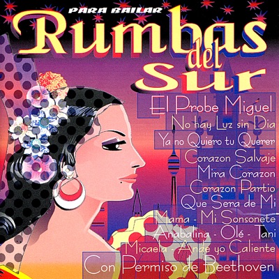 Rumbas del Sur