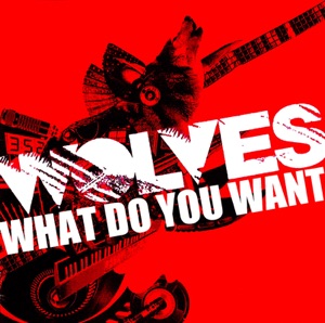 What Do You Want - Single