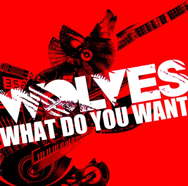 What Do You Want - Single