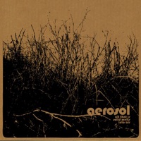 Aerosol - A Slow Beginning