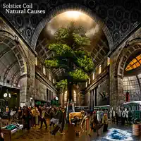 Moral Oxidation — Solstice Coil