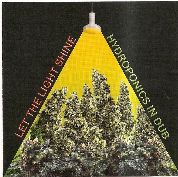 Let the Light Shine: Hydroponics in Dub