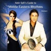 Amir's Guide to Middle Eastern Rhythms, Vol. 2