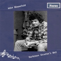 Darktown Strutter's Ball - Mike Bloomfield
