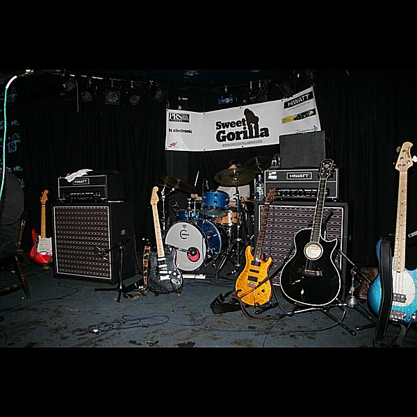 Sweet Gorilla Band - Feels Like I'm Still In Love