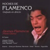 Isaac Vigueras A Tres Bandas Noches de Flamenco - Jóvenes Flamencos (Fiesta Gitana)