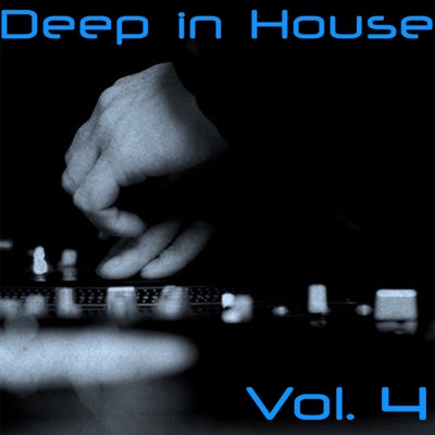 Deep in House, Vol. 4